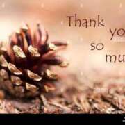 ヒメ日記 2024/12/29 12:07 投稿 あゆ 待ちナビ