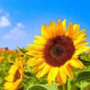 ヒメ日記 2025/06/30 11:17 投稿 あゆ 待ちナビ