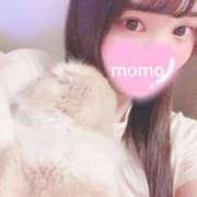 ヒメ日記 2025/03/19 17:07 投稿 モモ 池袋SKB48