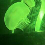 ヒメ日記 2025/08/16 15:46 投稿 愛琉-あいる【FG系列】 ほんつま 町田/相模原店