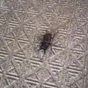 ヒメ日記 2025/06/28 13:16 投稿 うみ 東京リップ 立川店