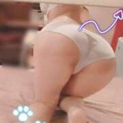 ヒメ日記 2026/02/01 06:00 投稿 まい フォーチュン