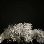 ヒメ日記 2025/04/26 00:26 投稿 及川　まりん NADIA京都店