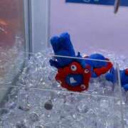 ヒメ日記 2026/01/21 20:23 投稿 及川　まりん NADIA京都店