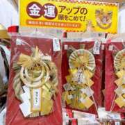 ヒメ日記 2024/12/28 19:11 投稿 神美さくらこ 全裸にされた女たちor欲しがり痴漢電車