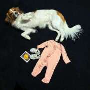 ヒメ日記 2024/12/29 07:35 投稿 神美さくらこ 全裸にされた女たちor欲しがり痴漢電車