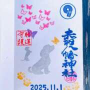 ヒメ日記 2025/11/01 09:50 投稿 神美さくらこ 全裸にされた女たちor欲しがり痴漢電車