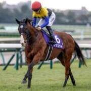 ヒメ日記 2025/11/03 20:15 投稿 神美さくらこ 全裸にされた女たちor欲しがり痴漢電車