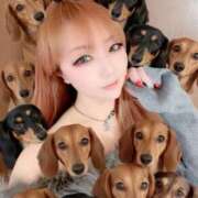 ヒメ日記 2025/11/22 13:53 投稿 神美さくらこ 全裸にされた女たちor欲しがり痴漢電車