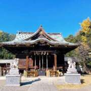 ヒメ日記 2025/12/01 11:55 投稿 神美さくらこ 全裸にされた女たちor欲しがり痴漢電車