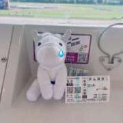 ヒメ日記 2026/01/19 15:23 投稿 神美さくらこ 全裸にされた女たちor欲しがり痴漢電車