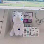 ヒメ日記 2026/02/14 16:25 投稿 神美さくらこ 全裸にされた女たちor欲しがり痴漢電車