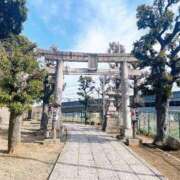 ヒメ日記 2026/03/01 10:05 投稿 神美さくらこ 全裸にされた女たちor欲しがり痴漢電車