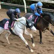 ヒメ日記 2026/03/08 08:57 投稿 神美さくらこ 全裸にされた女たちor欲しがり痴漢電車