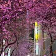 ヒメ日記 2026/04/02 17:39 投稿 神美さくらこ 全裸にされた女たちor欲しがり痴漢電車