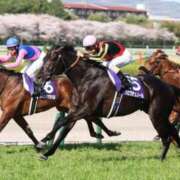 ヒメ日記 2026/04/05 16:39 投稿 神美さくらこ 全裸にされた女たちor欲しがり痴漢電車