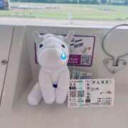 ヒメ日記 2026/04/12 18:02 投稿 神美さくらこ 全裸にされた女たちor欲しがり痴漢電車