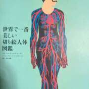 ヒメ日記 2025/04/03 22:12 投稿 ナナ Club 妻