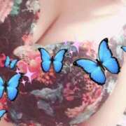 ヒメ日記 2025/01/08 21:11 投稿 胡蝶（こちょう） 熟女の風俗最終章 名古屋店