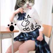 ヒメ日記 2025/04/24 12:40 投稿 あまね 電車ごっこ