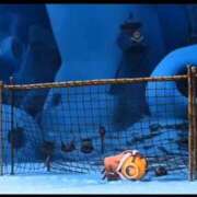 ヒメ日記 2025/04/24 18:22 投稿 あまね 電車ごっこ