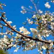 ヒメ日記 2026/04/09 19:40 投稿 あいな あのスパ茨木・枚方店