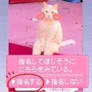 ヒメ日記 2025/03/15 01:11 投稿 なのは 西船人妻花壇