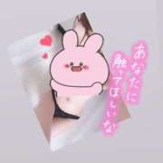 ヒメ日記 2025/06/10 02:16 投稿 なのは 西船人妻花壇