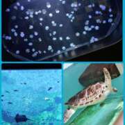 ヒメ日記 2025/10/19 12:04 投稿 かな ぐっどがーる浜松店