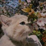 ヒメ日記 2024/12/09 11:37 投稿 咲本 ゆりあ バルボラ マリン