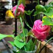 ヒメ日記 2025/01/08 16:27 投稿 咲本 ゆりあ バルボラ マリン