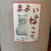 ヒメ日記 2025/09/03 09:27 投稿 咲本 ゆりあ バルボラ マリン