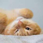 ヒメ日記 2025/09/22 22:47 投稿 咲本 ゆりあ バルボラ マリン