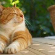 ヒメ日記 2025/09/25 12:17 投稿 咲本 ゆりあ バルボラ マリン