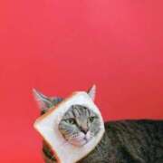 ヒメ日記 2025/10/02 15:47 投稿 咲本 ゆりあ バルボラ マリン