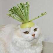 ヒメ日記 2025/10/02 20:07 投稿 咲本 ゆりあ バルボラ マリン