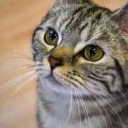 ヒメ日記 2025/10/07 18:34 投稿 咲本 ゆりあ バルボラ マリン