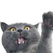 ヒメ日記 2025/10/08 15:47 投稿 咲本 ゆりあ バルボラ マリン