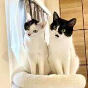 ヒメ日記 2025/10/13 15:37 投稿 咲本 ゆりあ バルボラ マリン