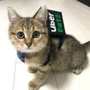 ヒメ日記 2025/10/17 19:17 投稿 咲本 ゆりあ バルボラ マリン