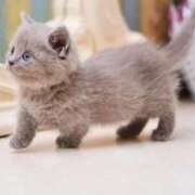 ヒメ日記 2025/10/19 19:17 投稿 咲本 ゆりあ バルボラ マリン