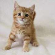 ヒメ日記 2025/10/20 18:57 投稿 咲本 ゆりあ バルボラ マリン