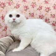 ヒメ日記 2025/10/22 18:57 投稿 咲本 ゆりあ バルボラ マリン