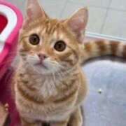 ヒメ日記 2025/10/22 21:17 投稿 咲本 ゆりあ バルボラ マリン