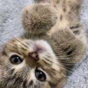 ヒメ日記 2025/10/23 22:17 投稿 咲本 ゆりあ バルボラ マリン