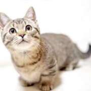 ヒメ日記 2025/10/24 20:37 投稿 咲本 ゆりあ バルボラ マリン