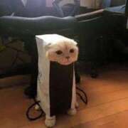 ヒメ日記 2025/11/02 23:17 投稿 咲本 ゆりあ バルボラ マリン