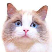 ヒメ日記 2025/11/06 14:17 投稿 咲本 ゆりあ バルボラ マリン