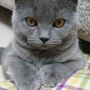 ヒメ日記 2025/11/06 17:08 投稿 咲本 ゆりあ バルボラ マリン