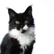 ヒメ日記 2025/11/09 20:37 投稿 咲本 ゆりあ バルボラ マリン